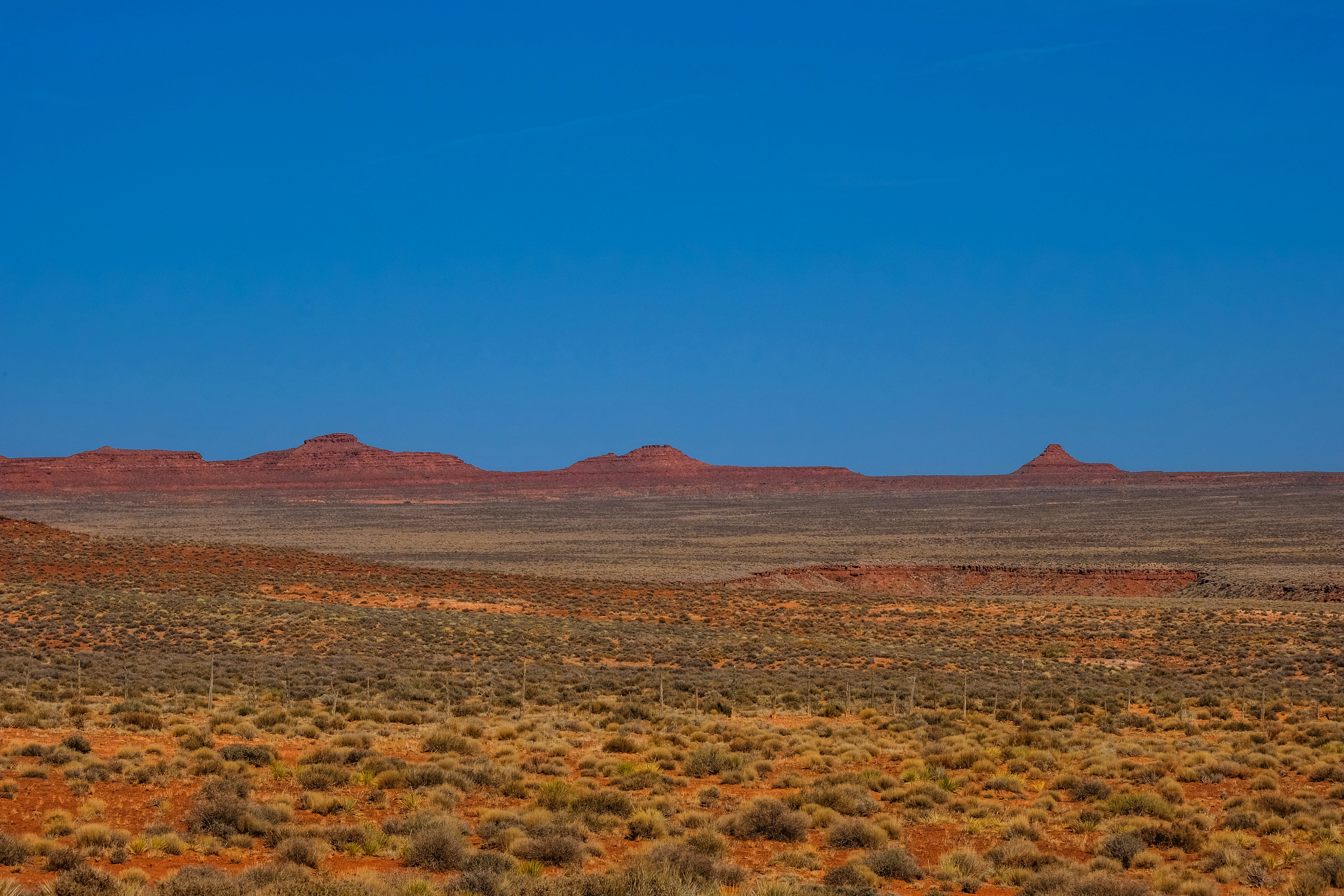 Photo by francesco_ungaro