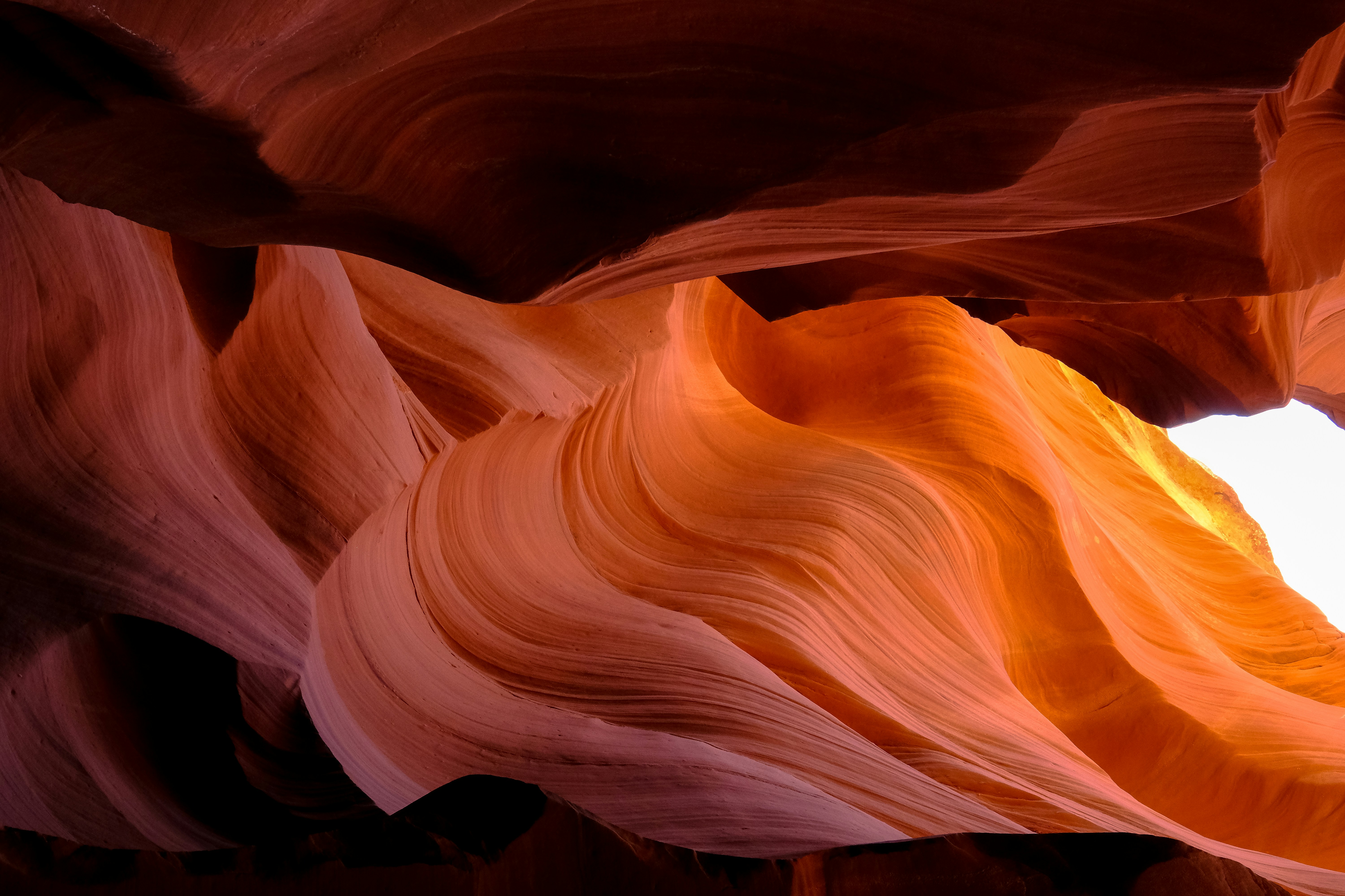 Photo by francesco_ungaro