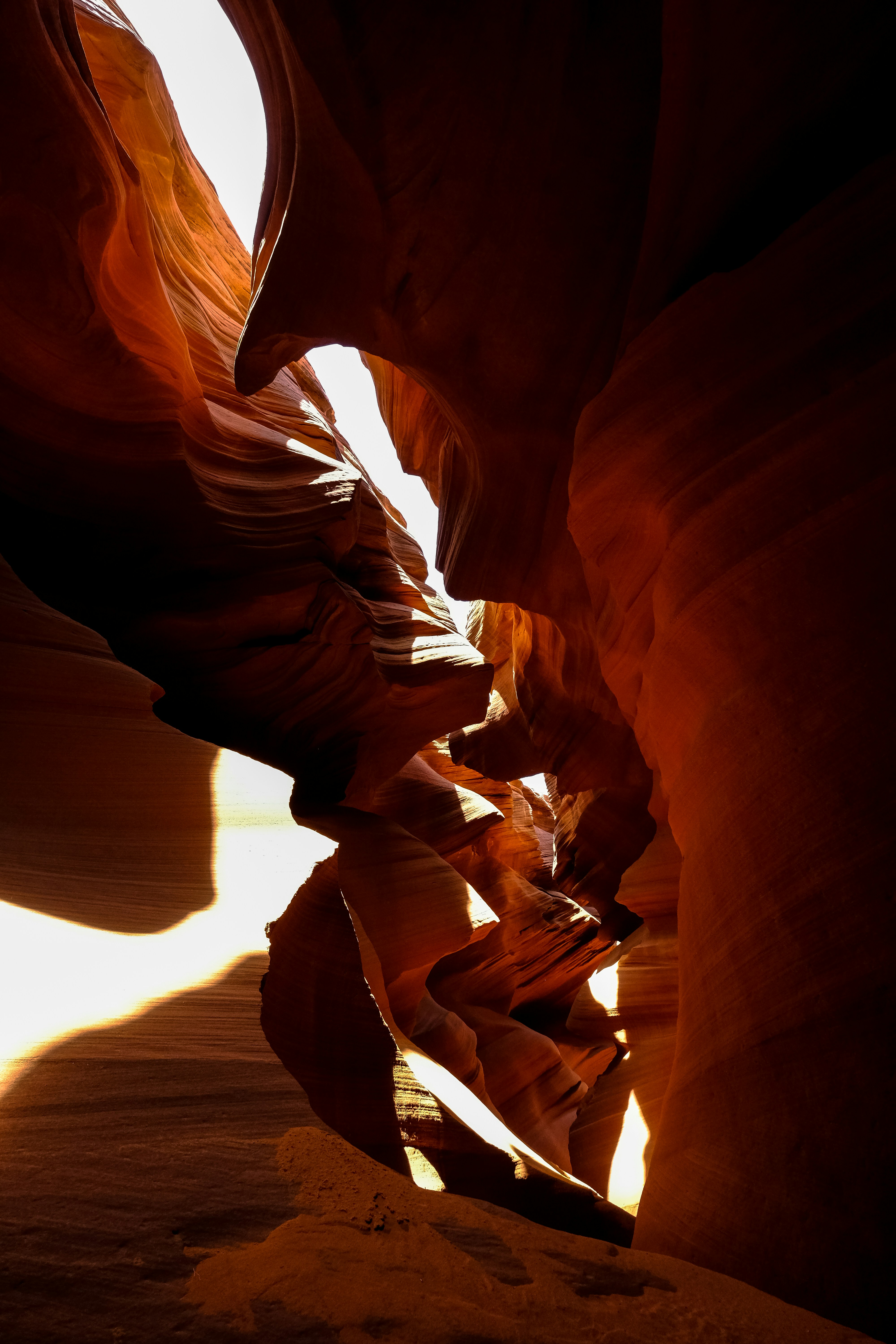 Photo by francesco_ungaro