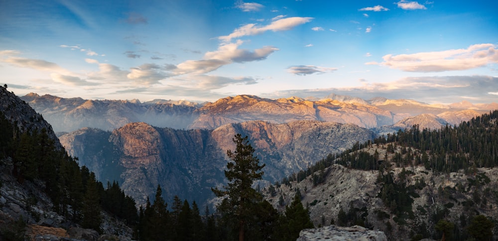 rocky mountains and forest during day