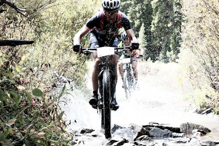 Mountain biker riding singletrack through pine forest