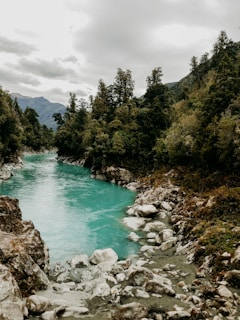 The flowing waters of Río San Carlos surrounded by dense tropical forest under a bright sky.