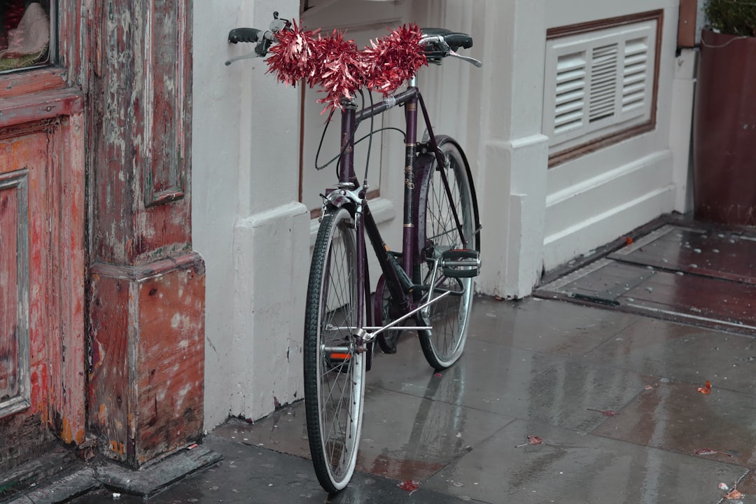 purple bike parked beside door