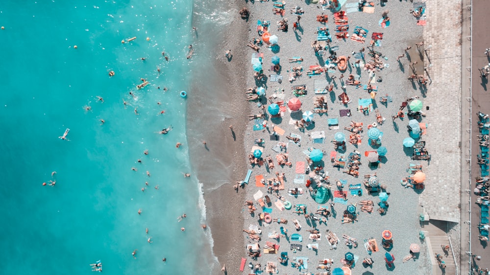 aerial photography of people on the beach