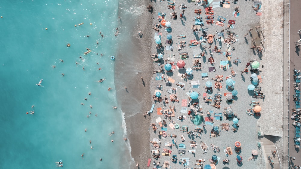 Photographie aérienne de personnes sur la plage