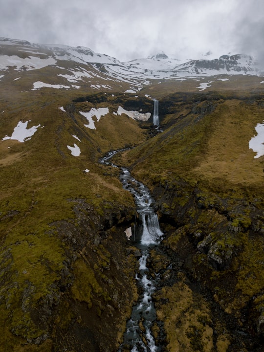 photo of Western Region Tundra near Snæfellsjökull