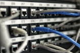 blue UTP cord