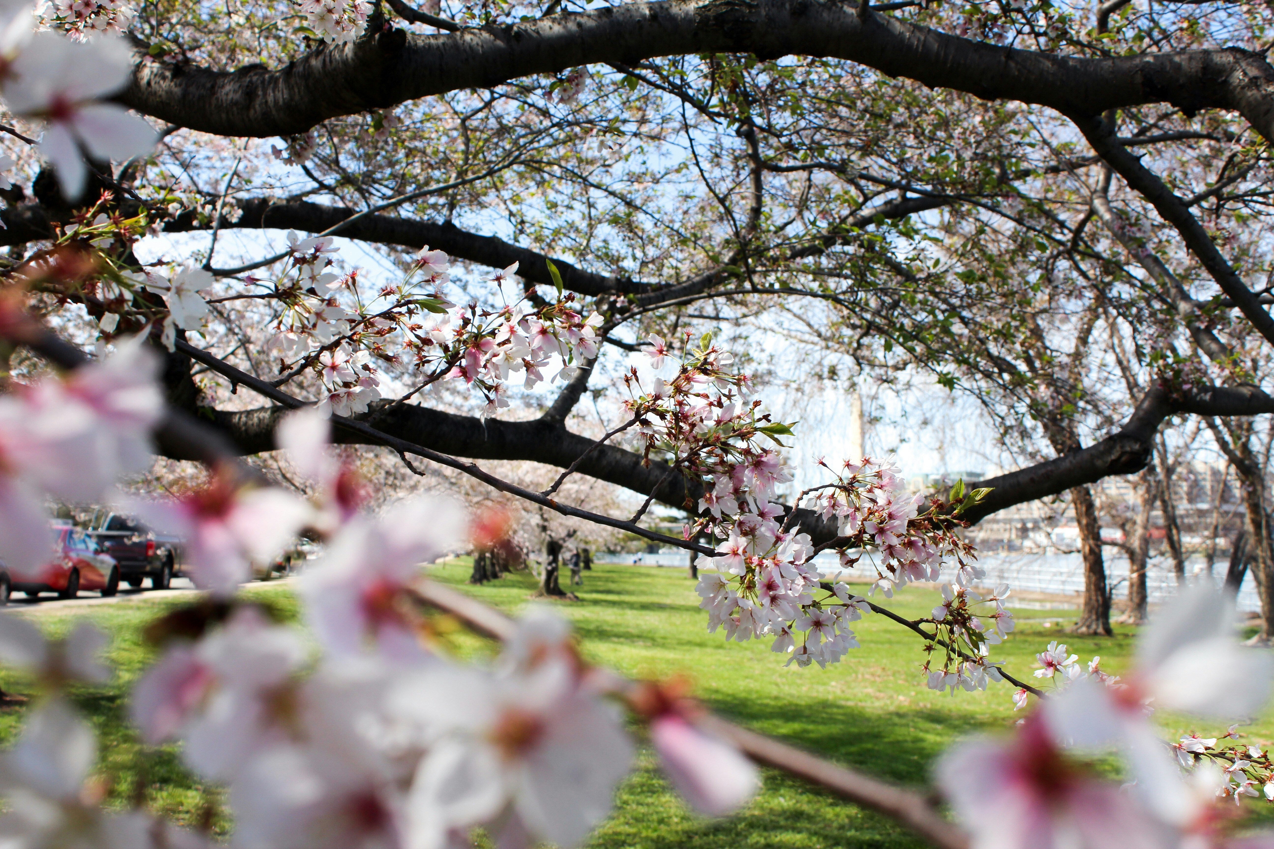 Photo by katuriakhila