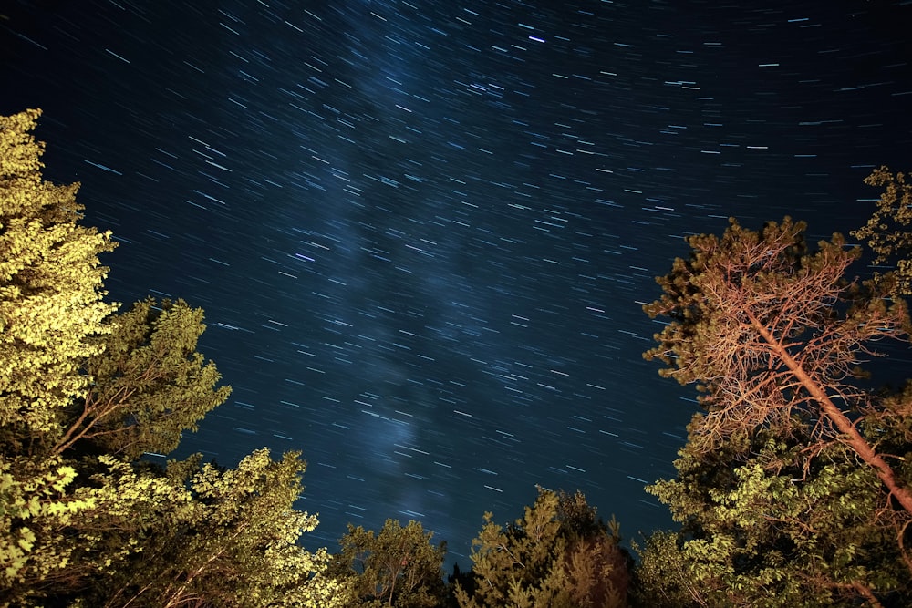 low angle photography of starry night