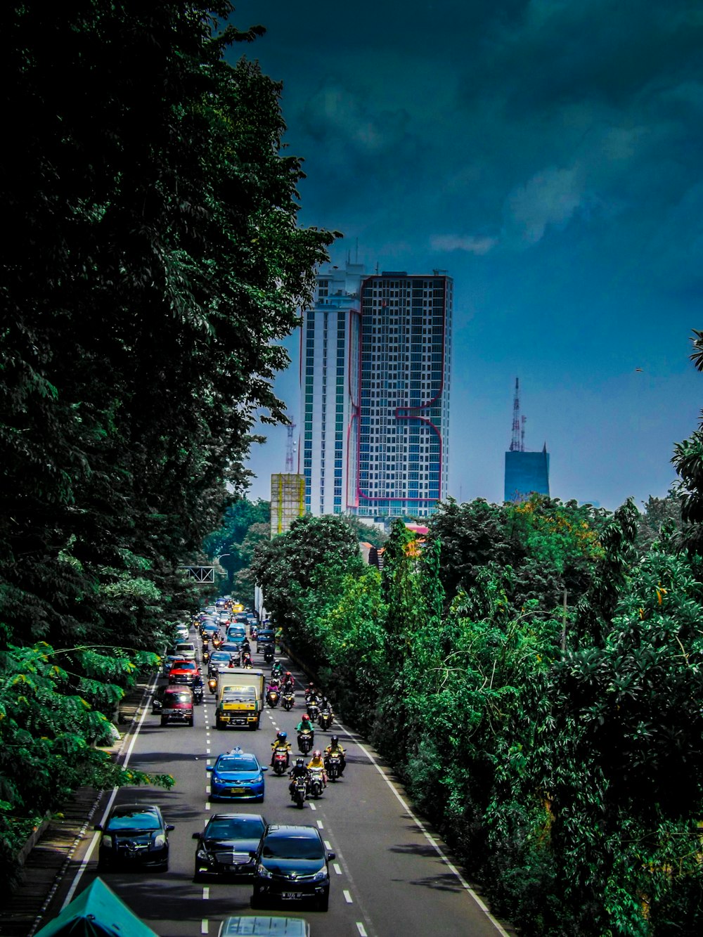 cars and motorcycles on road between green leaf trees