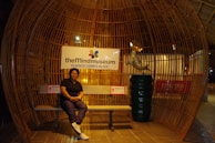 A person is seated on a bench inside a large, dome-shaped wooden structure. A sign above reads 'theMindmuseum SCIENCE COMES ALIVE!' and there is a stylized dolphin sculpture nearby. The environment is warmly lit and appears to be an indoor exhibit.