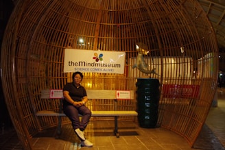 A person is seated on a bench inside a large, dome-shaped wooden structure. A sign above reads 'theMindmuseum SCIENCE COMES ALIVE!' and there is a stylized dolphin sculpture nearby. The environment is warmly lit and appears to be an indoor exhibit.
