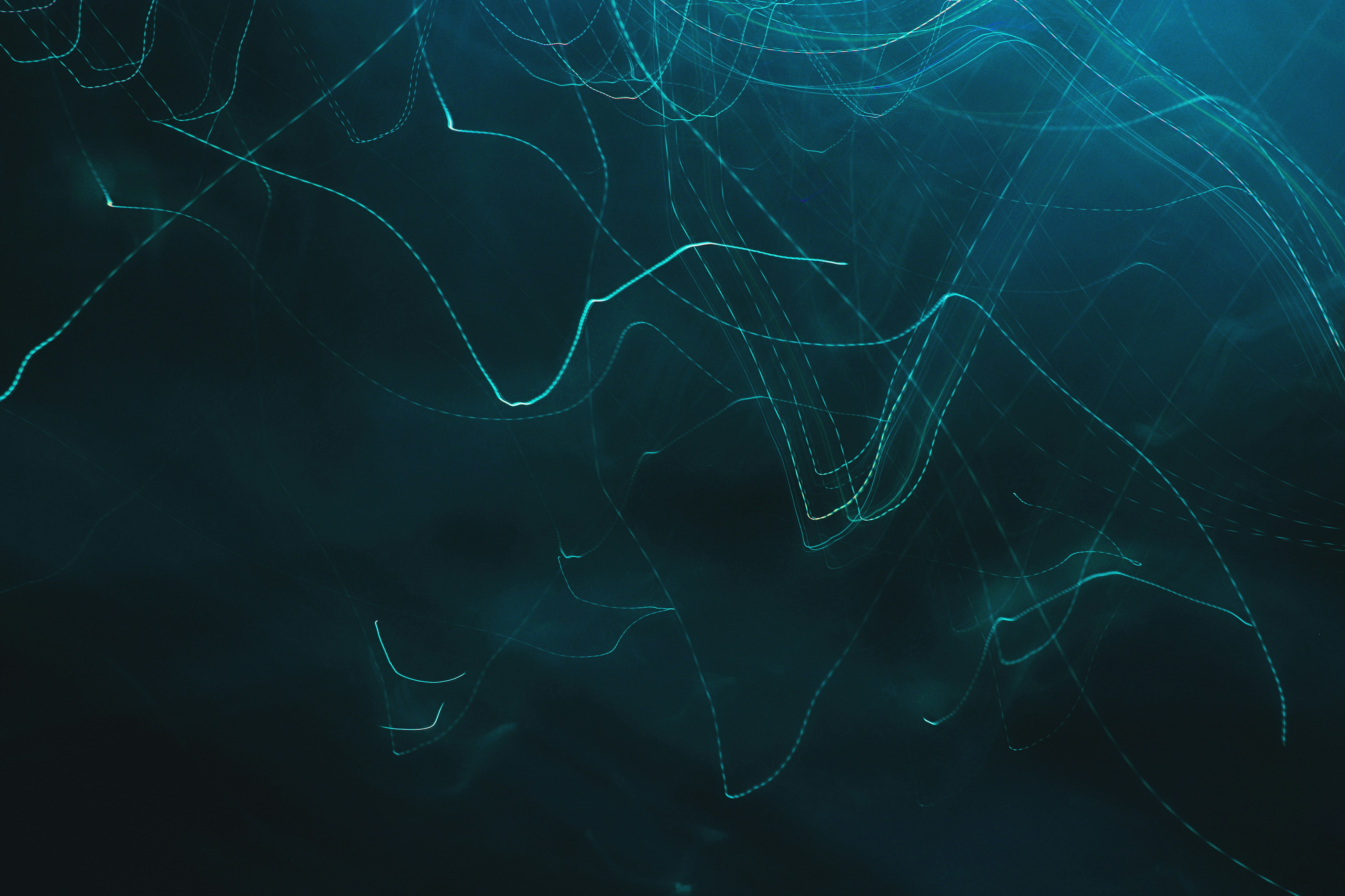 Craft network header image