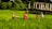 A group of people wearing colorful clothing are working in a lush green field. The field is surrounded by dense foliage, and a partially constructed building is in the background. The people appear engaged in agricultural activities, with one holding a basket.