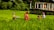 A group of people wearing colorful clothing are working in a lush green field. The field is surrounded by dense foliage, and a partially constructed building is in the background. The people appear engaged in agricultural activities, with one holding a basket.