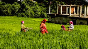 A group of people wearing colorful clothing are working in a lush green field. The field is surrounded by dense foliage, and a partially constructed building is in the background. The people appear engaged in agricultural activities, with one holding a basket.
