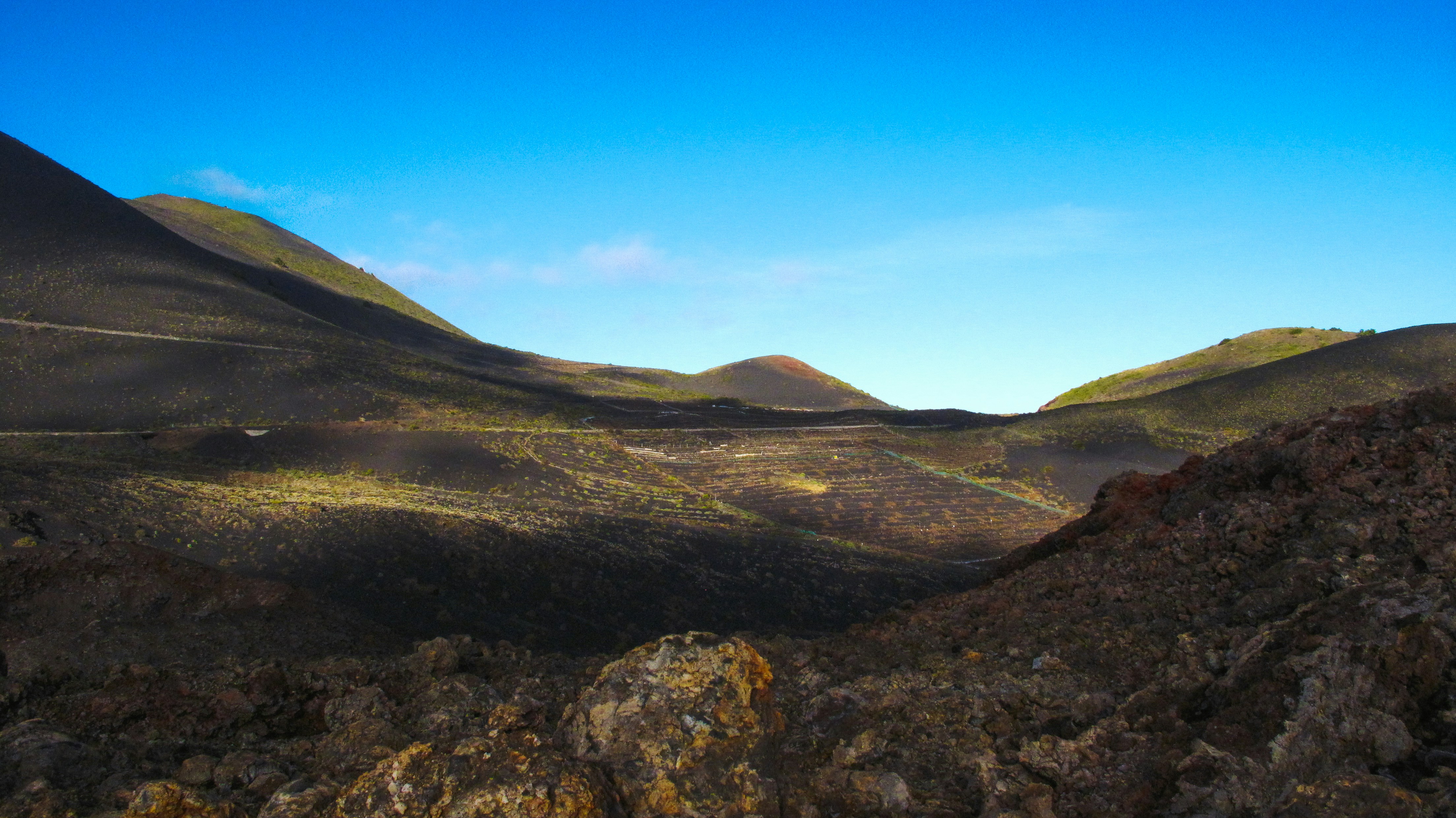 Photo by francesco_ungaro