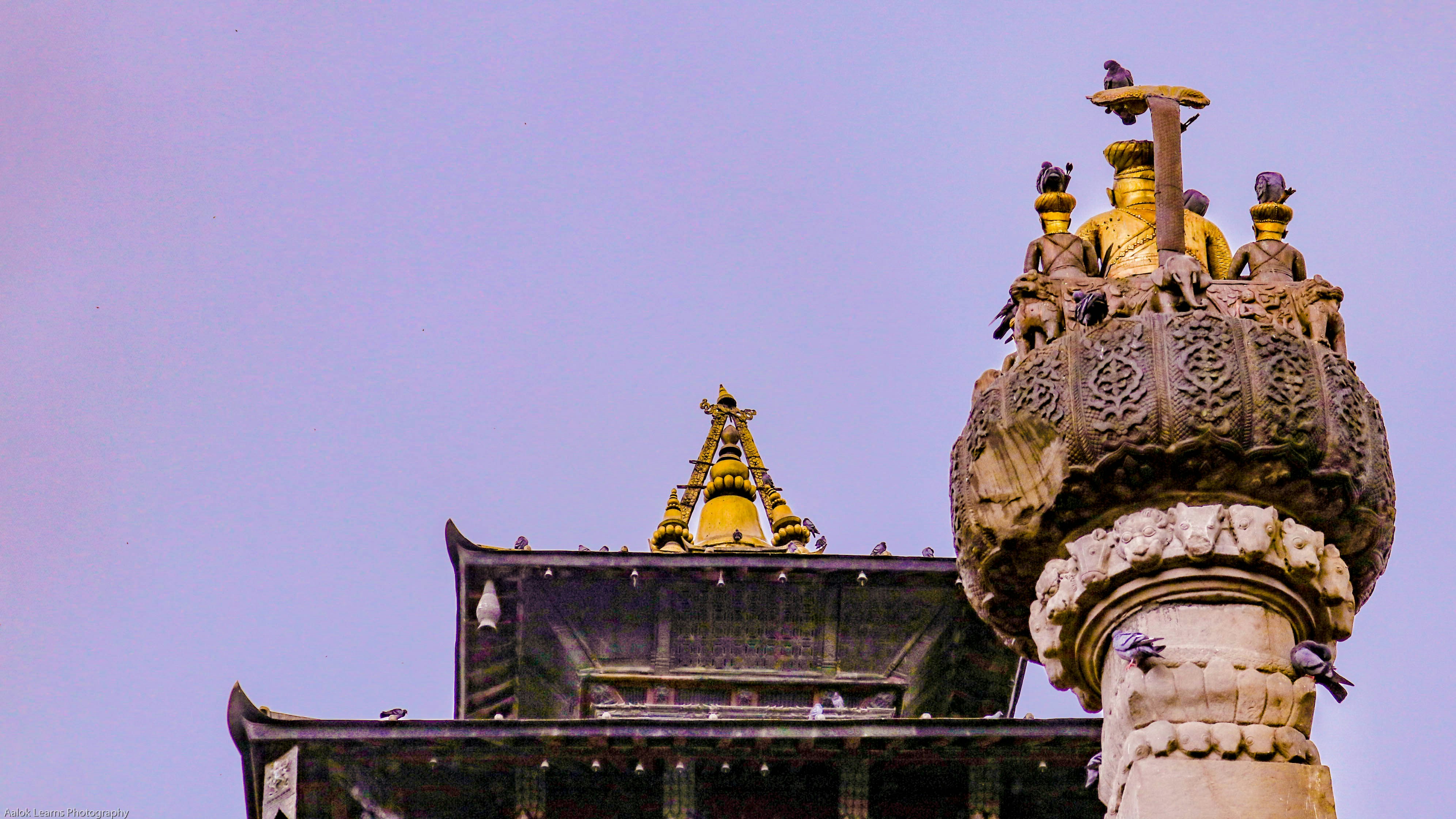 Photo by aalokatreya