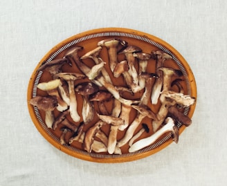 Smiling customer enjoying a vibrant mushroom dish in a cozy kitchen setting.