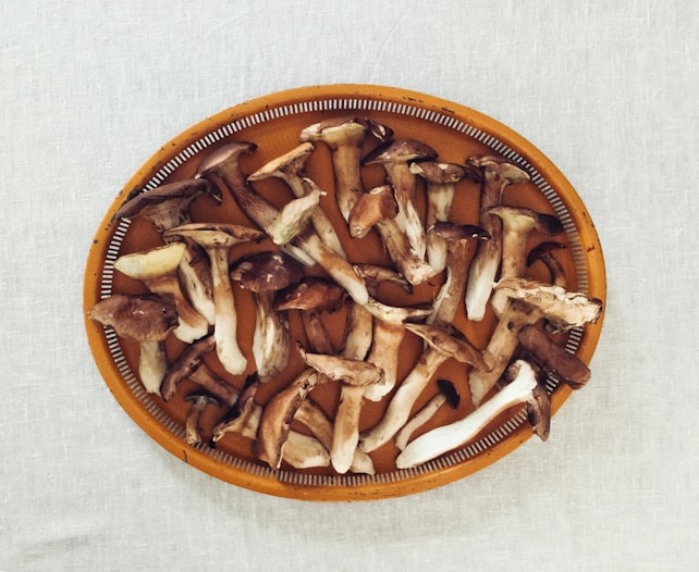 A collection of brown mushrooms is neatly arranged on an orange ceramic plate with a white rim design. The plate is placed on a textured white tablecloth, creating a pleasing contrast.