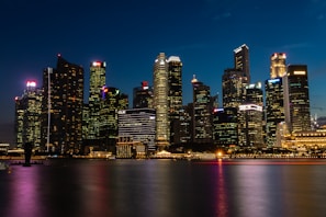 cityscape near the body of water with lights turned-on during nighttime