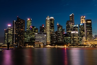 cityscape near the body of water with lights turned-on during nighttime