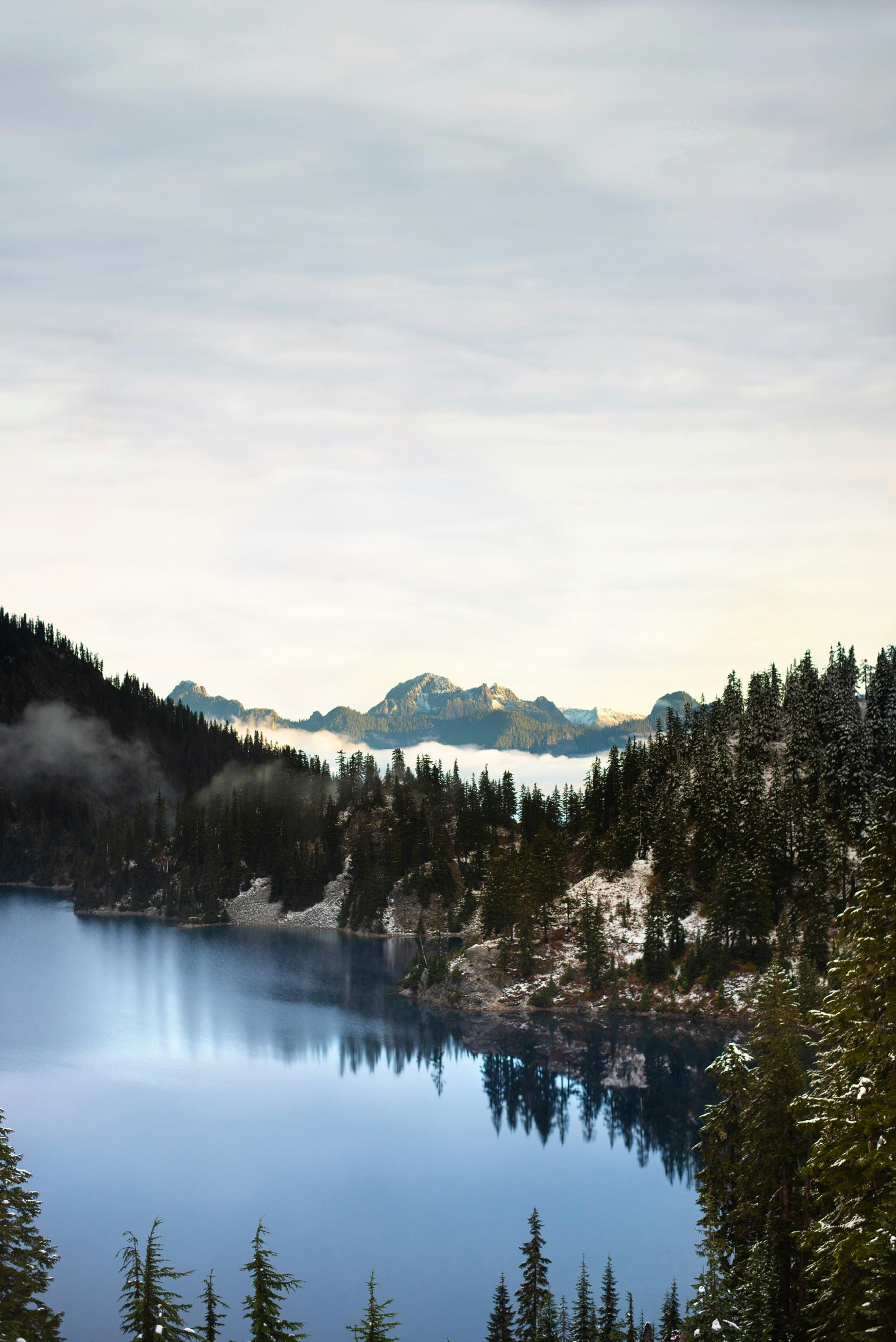 body of water beside green pine trees