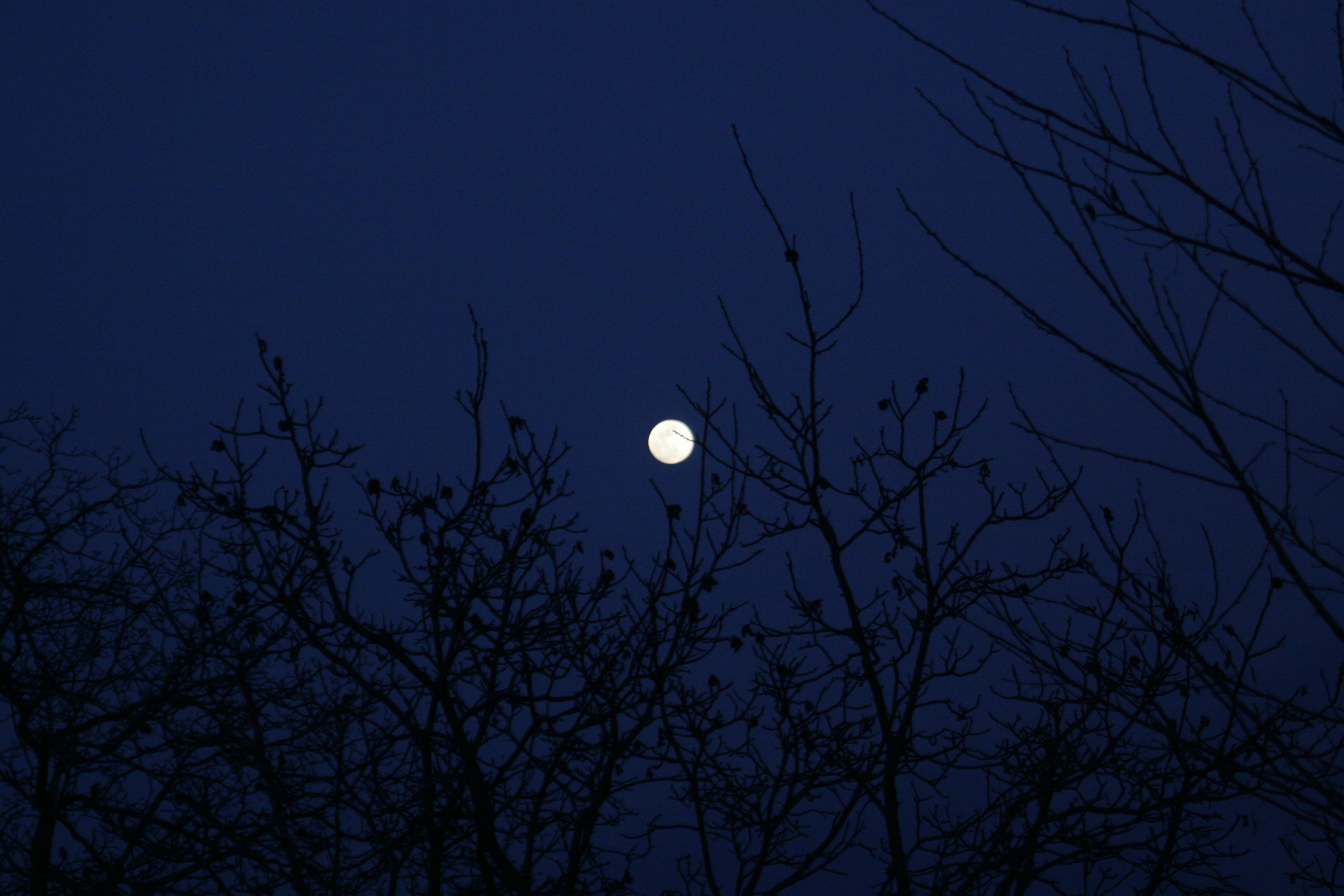 Photo by vladraicu