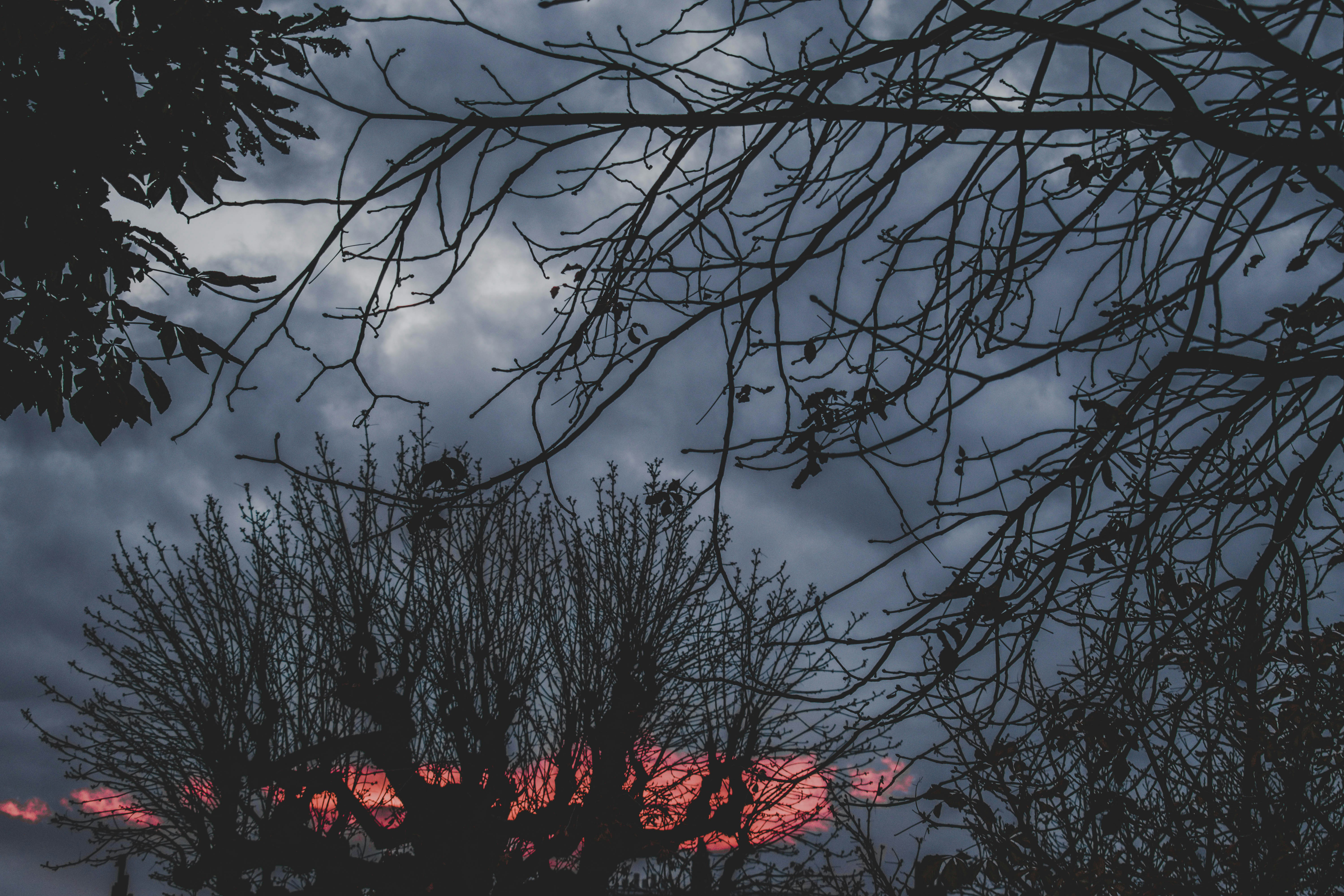 photo-1544218415-c6092a5f1688?ixlib=rb-1.2.1&ixid=eyJhcHBfaWQiOjEyMDd9&auto=format&fit=crop&w=1500&q=80