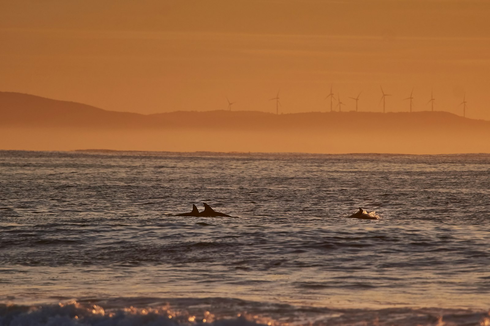 Sony Alpha NEX-6 sample photo. Silhouette of wind turbine photography