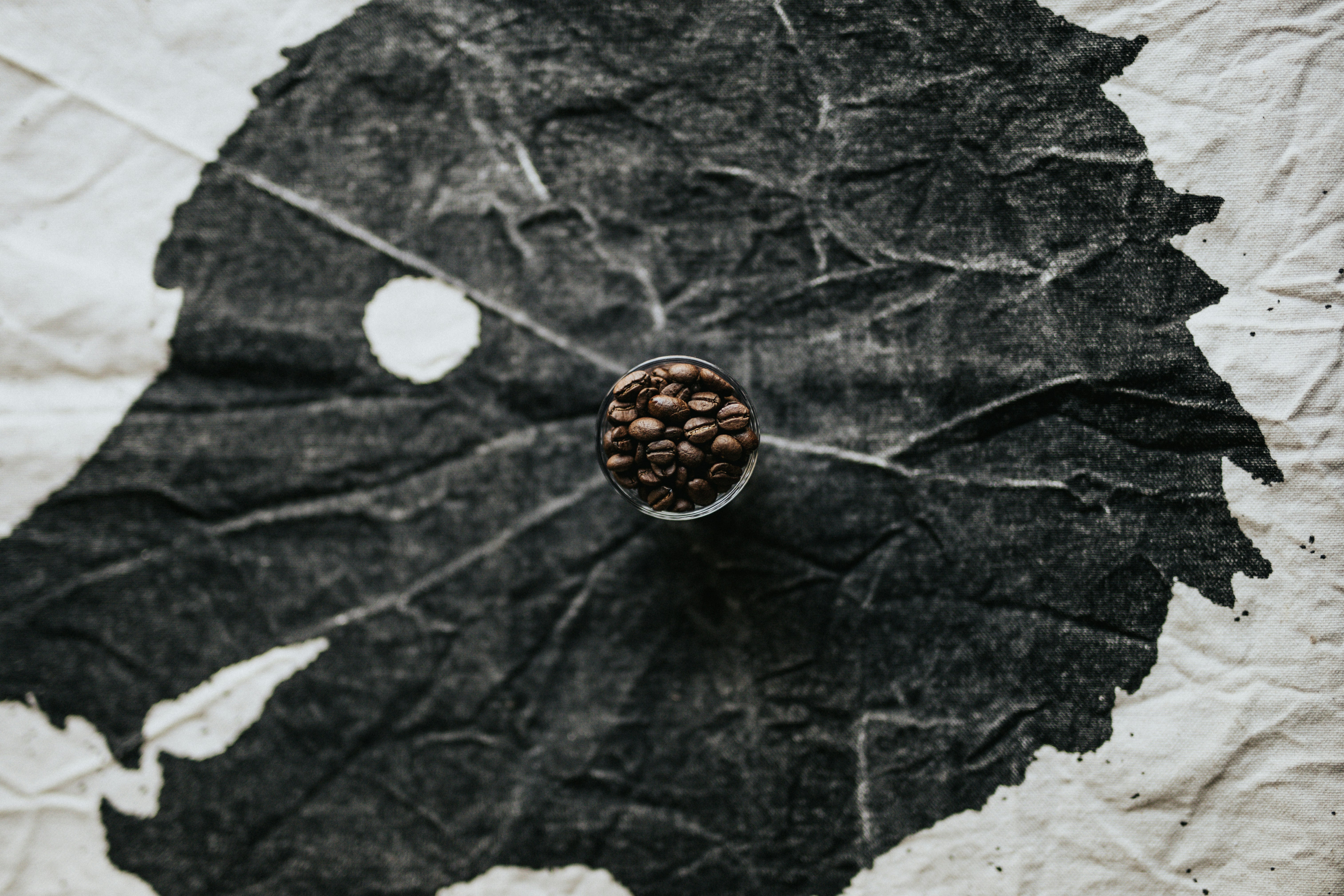 Photo by nate_dumlao