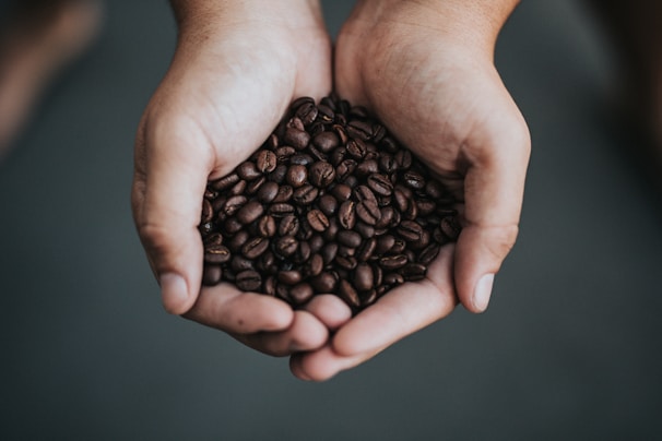 Hands gently cradle a mound of dark brown coffee beans, showcasing their rich texture and color.