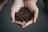 Elegant hands holding a bag of premium coffee beans with emerald green and gold packaging.
