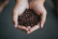 Elegant hands holding a bag of premium coffee beans with emerald green and gold packaging.