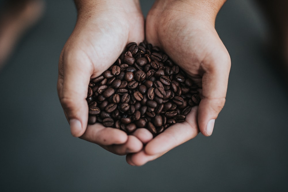 coffee beans on person's hands