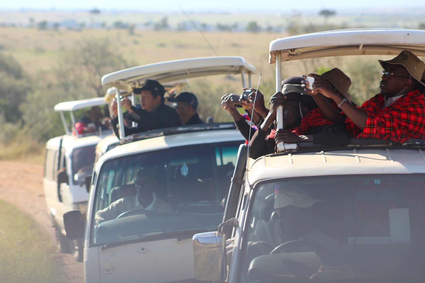 Guests in the back of an open vehicle photographing wildlife across the plains