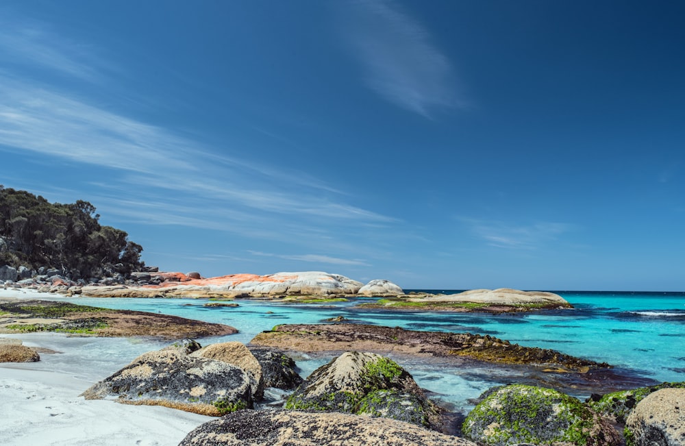 Meer neben Bäumen unter strahlend blauem Himmel