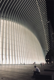 Futuristic African government building with holographic screens displaying economic data and citizen service centers.