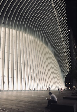 Futuristic African government building with holographic screens displaying economic data and citizen service centers.