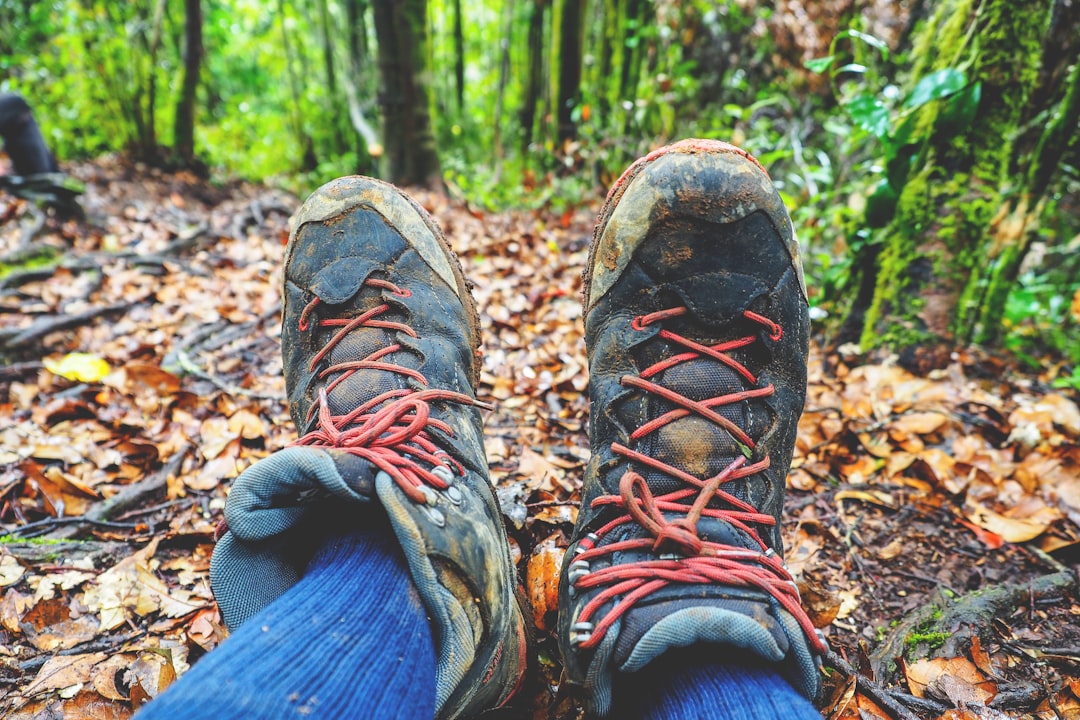 person taking photo of his shoes while in the forest