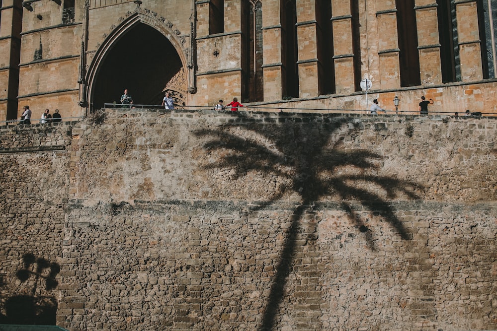 Schatten einer Palme auf grauer Backsteinmauer