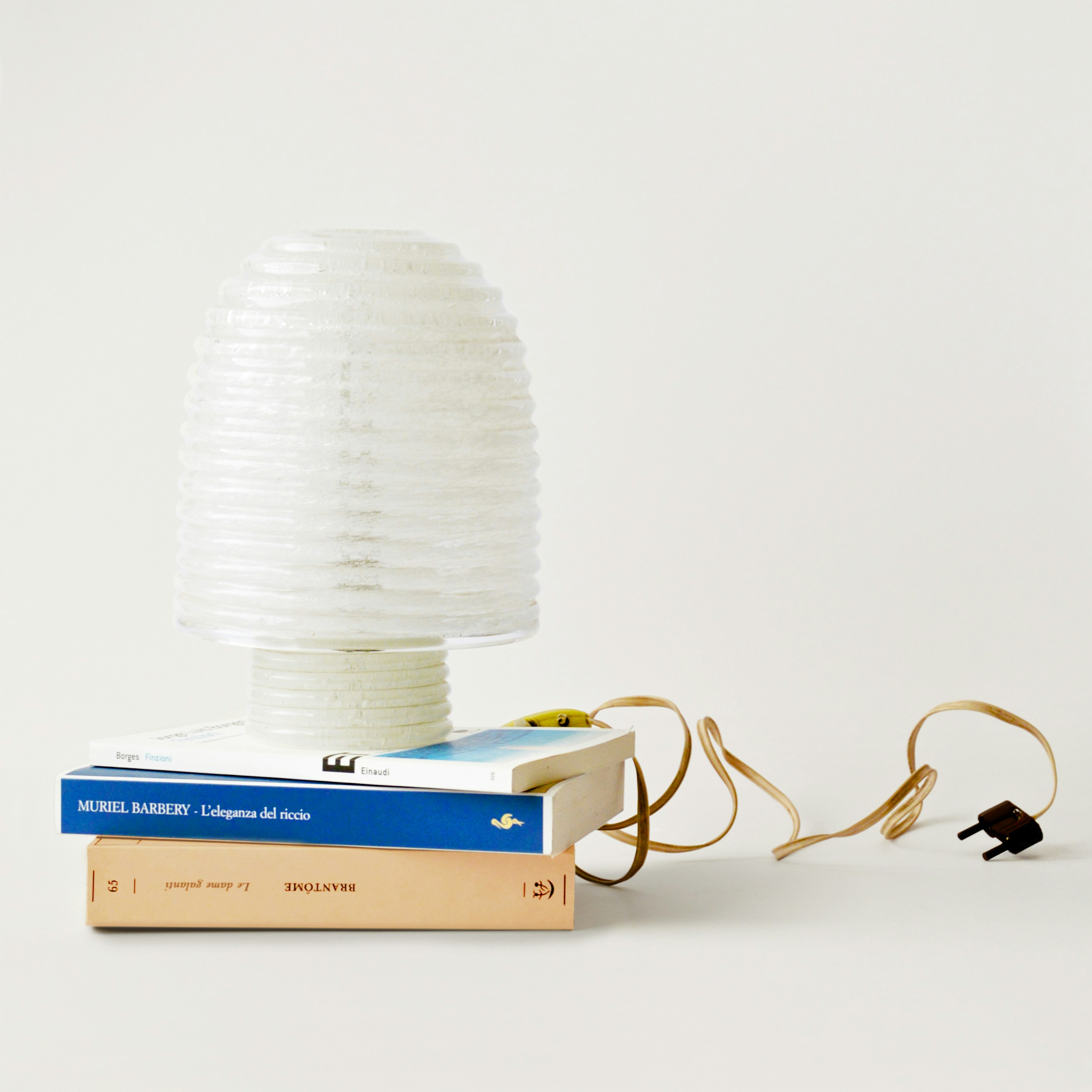 Fermentation: The Household Biotechnology