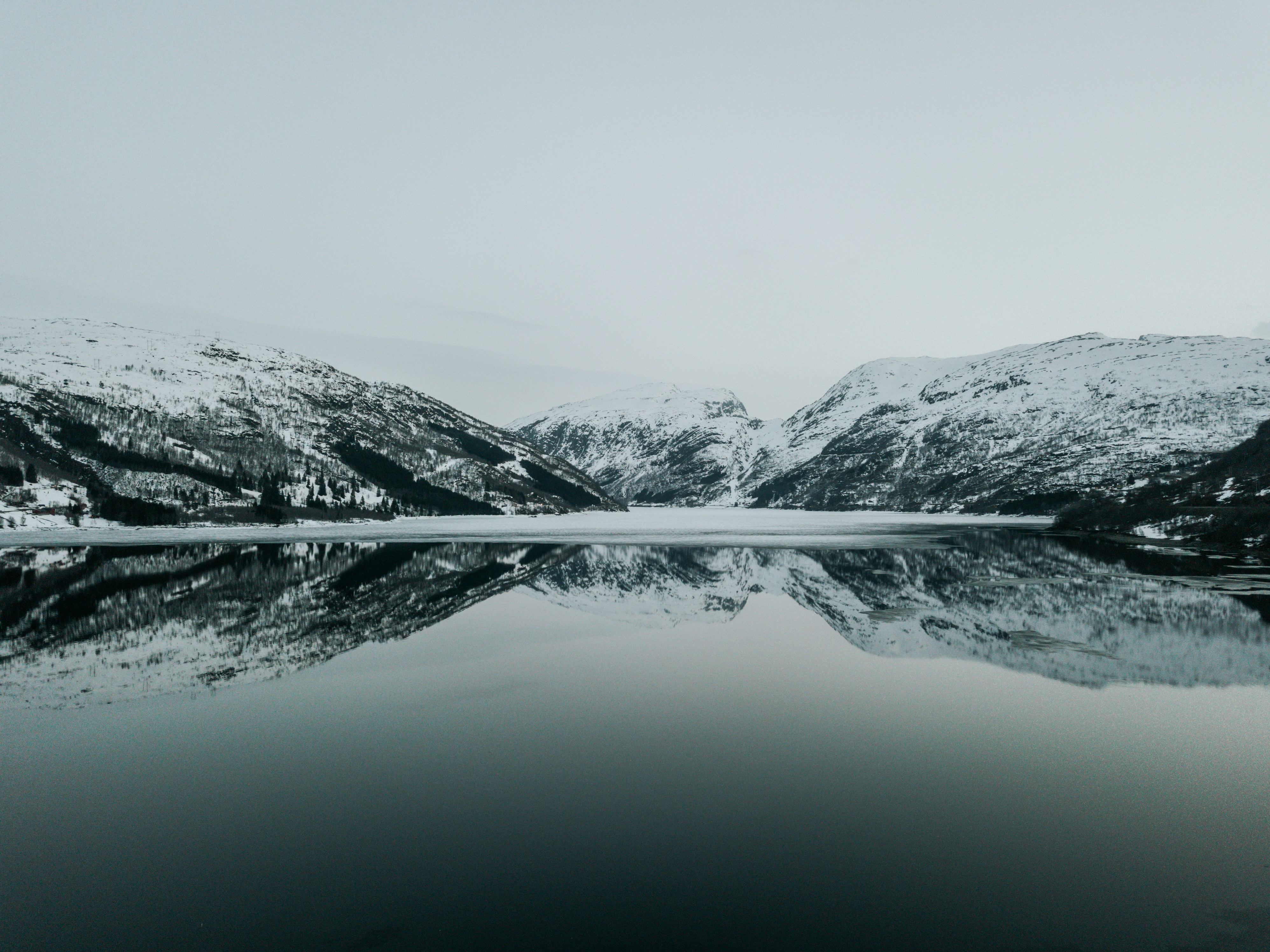 Photo by alexdalessio22