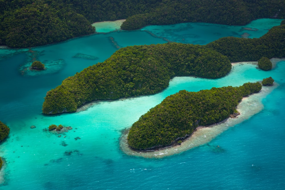 trees on islands near shore at daytime