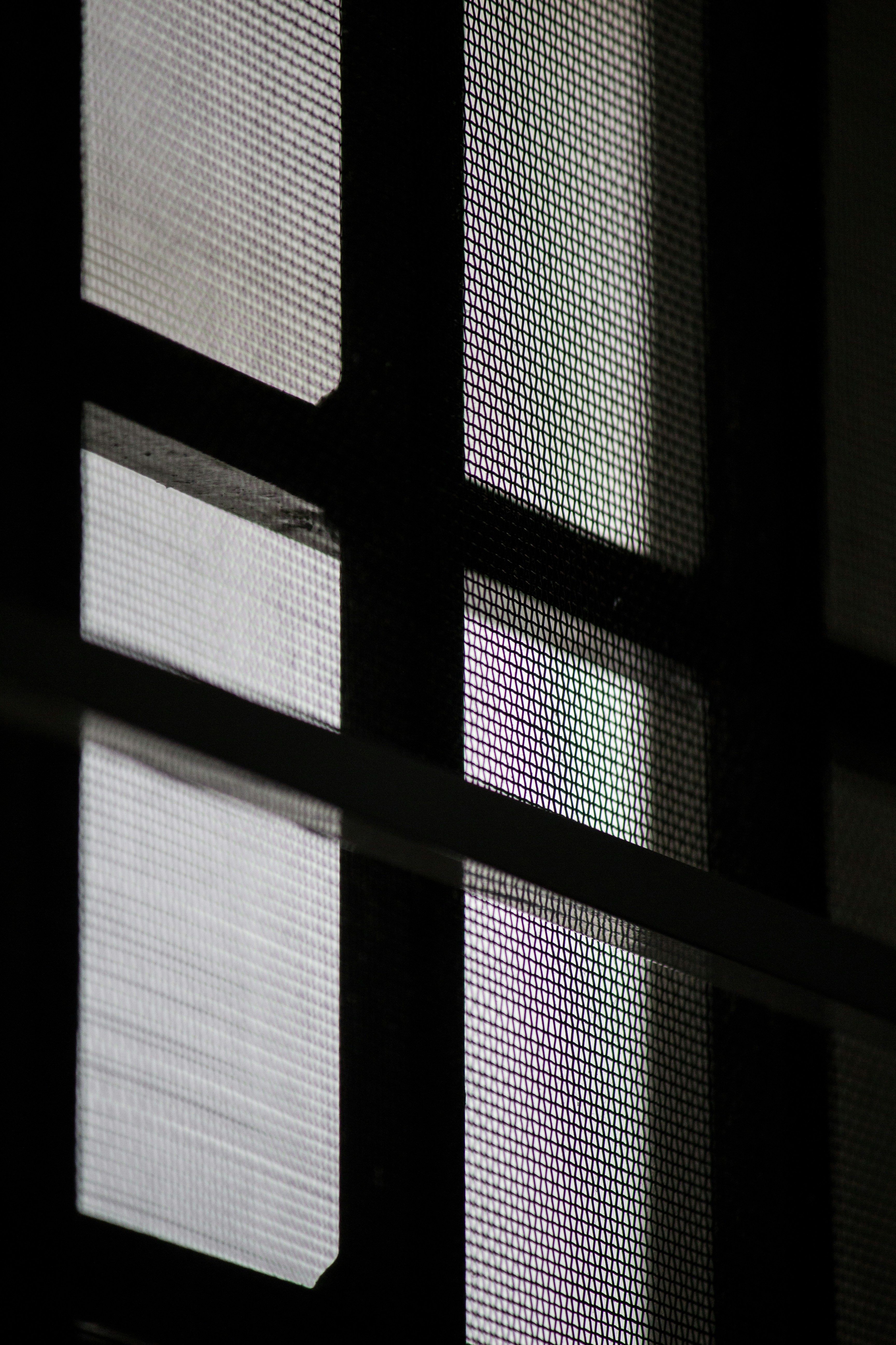 Mosquitero Sanbosco XL