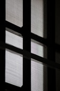 A close-up view of a window with a mesh screen, creating a grid-like pattern that contrasts with the light coming through the glass panes.
