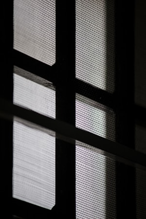 A close-up view of a window with a mesh screen, creating a grid-like pattern that contrasts with the light coming through the glass panes.