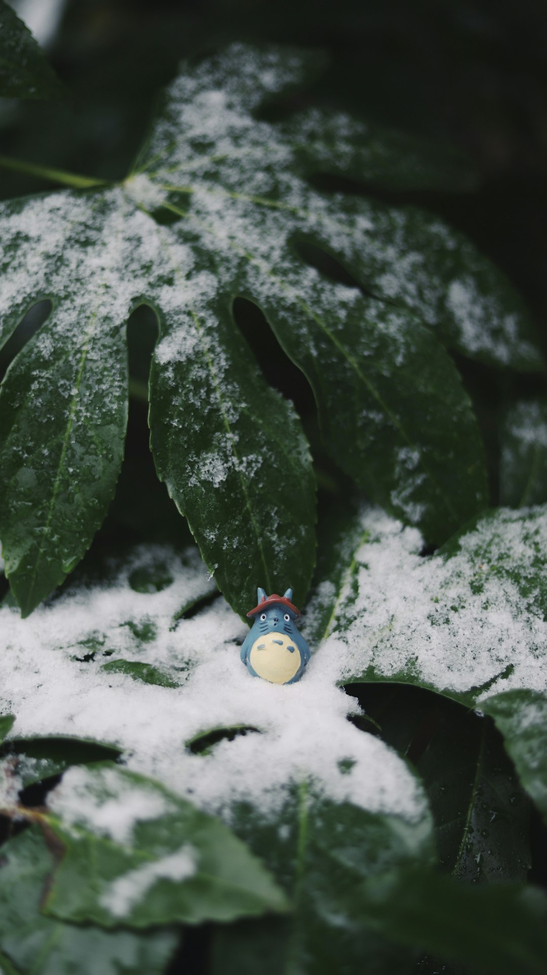 Totoro plastic toy on green leaf