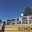 A vintage yellow school bus with a stop sign attached to its side, parked near a tree under a clear blue sky. The bus appears old and worn, with chipped paint around the door and roof. The windows show reflections and shadows of seats inside. Overgrown branches of a large green tree are partially visible, adding a natural element to the scene.
