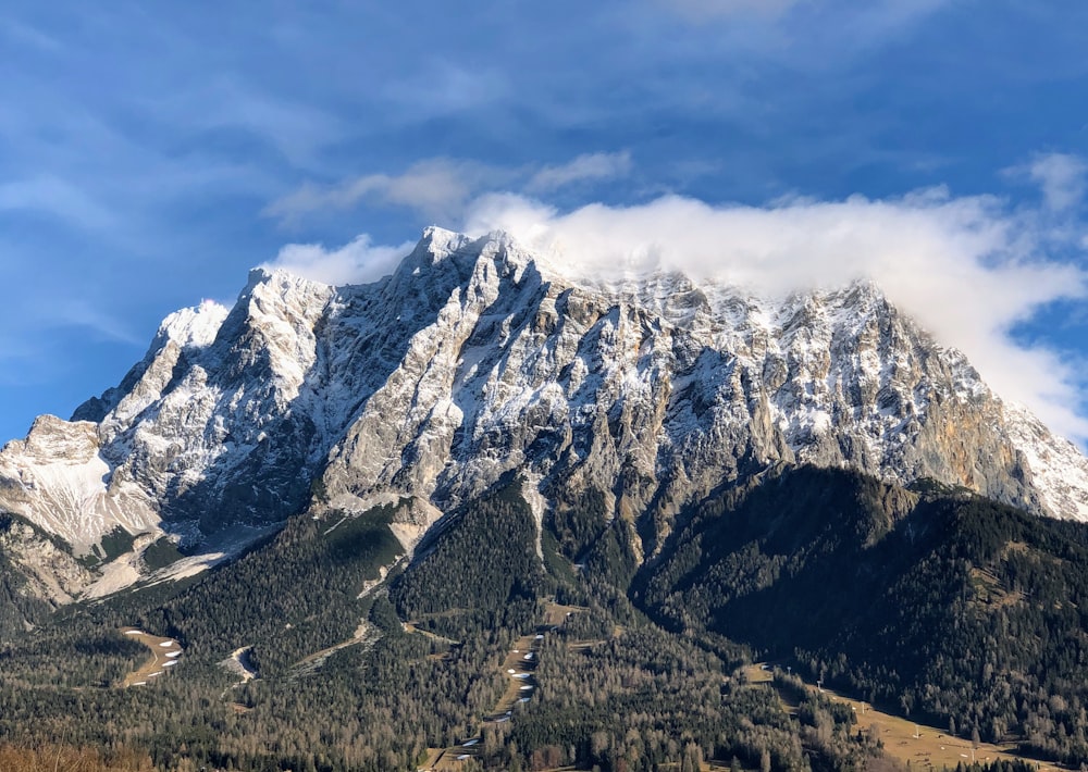 brown and gray mountain